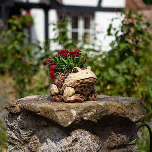 Frog Planter